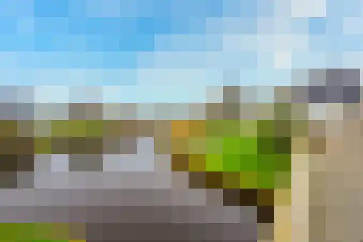 Stappeland 124 De Koog thumbnail 43