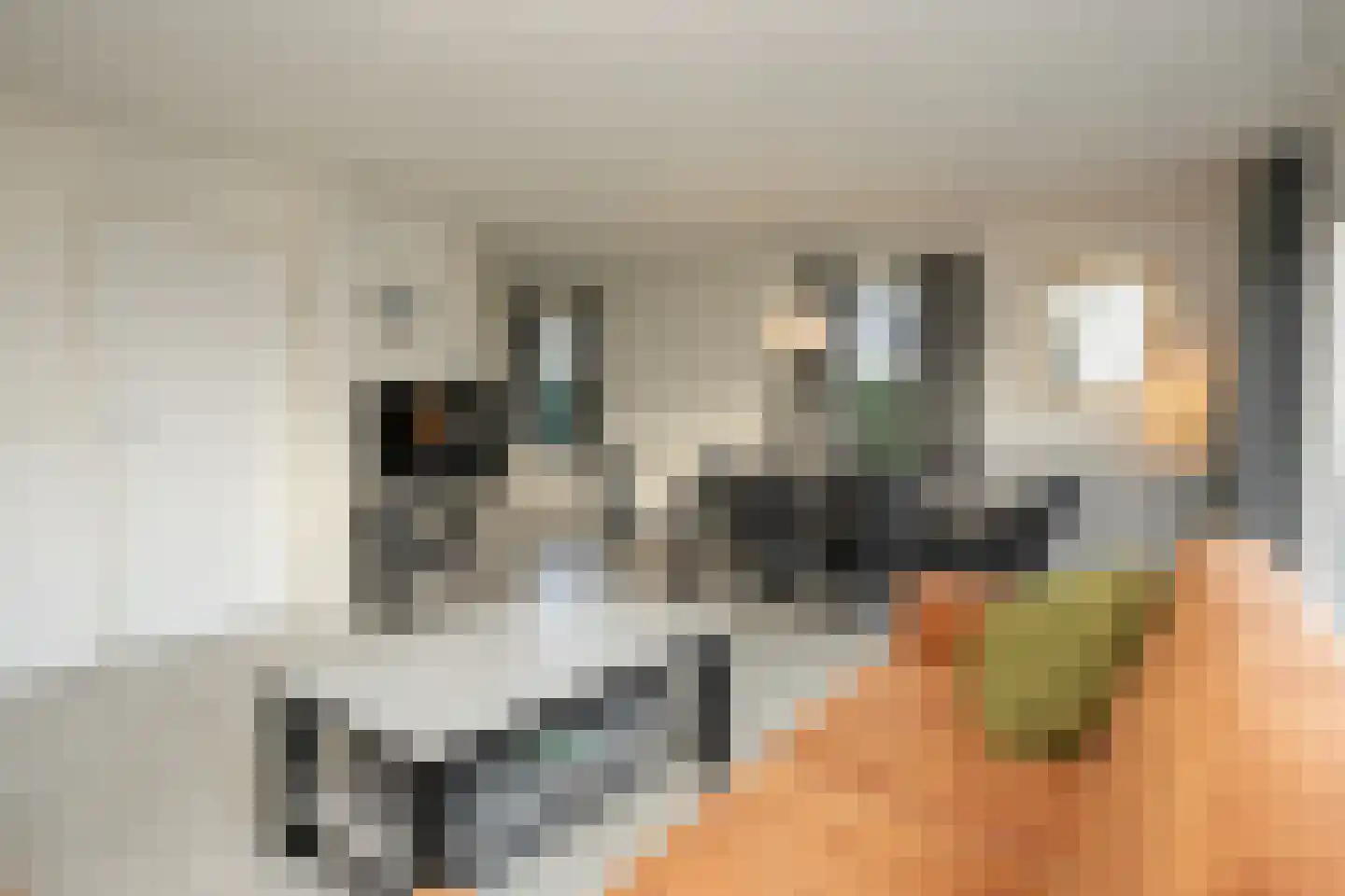 Stappeland 125 De Koog thumbnail 8