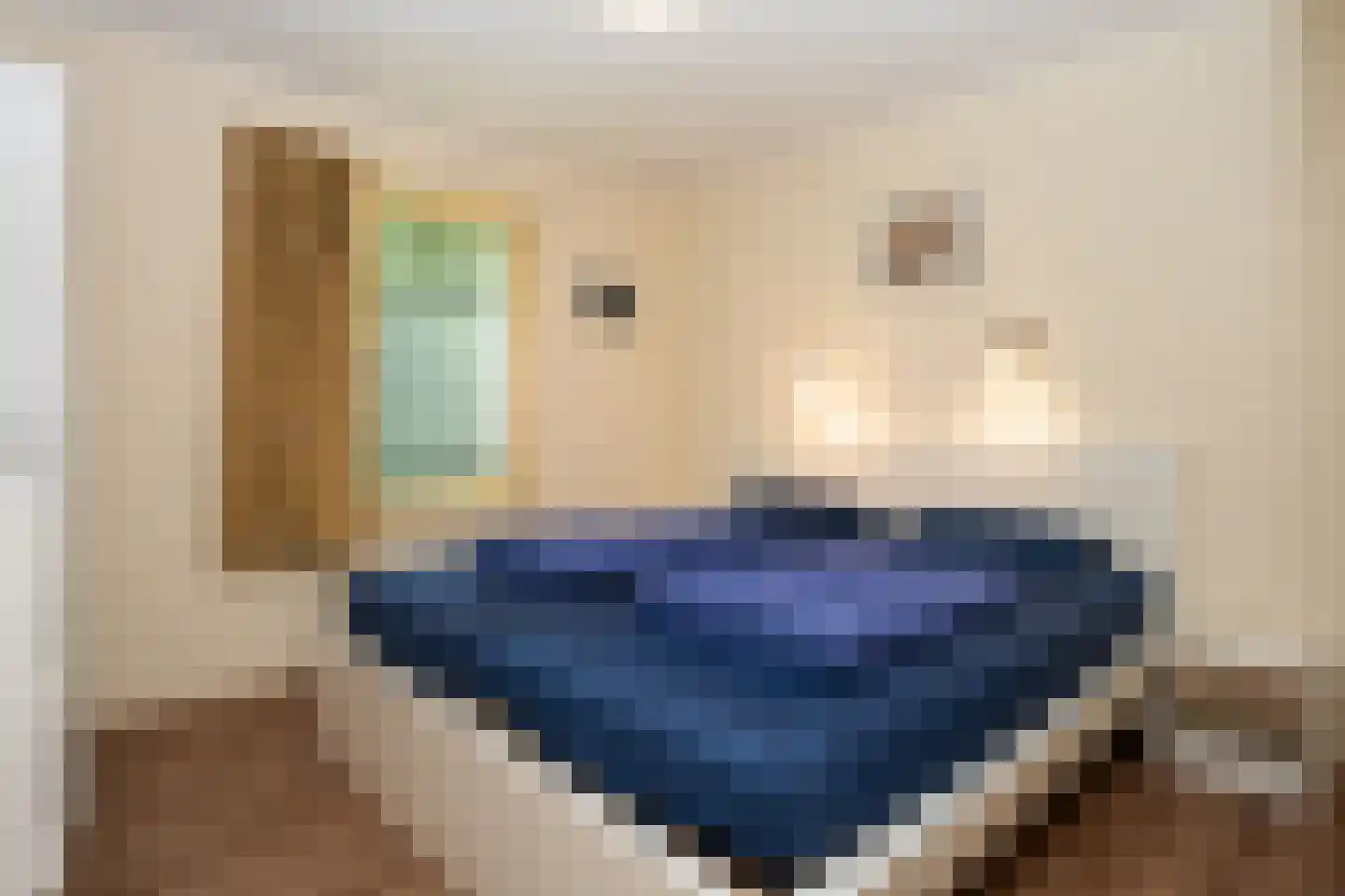 Stappeland 149 De Koog thumbnail 17