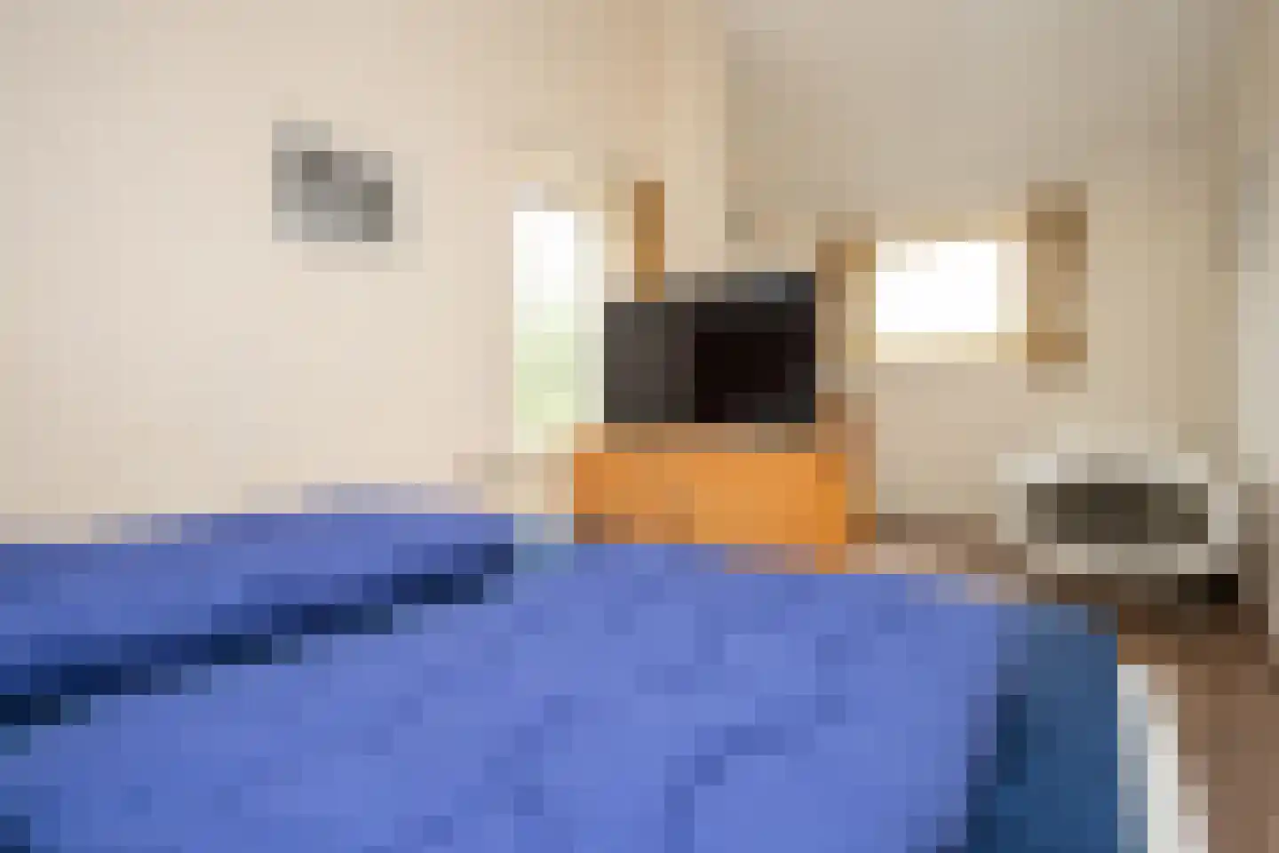 Stappeland 149 De Koog thumbnail 30