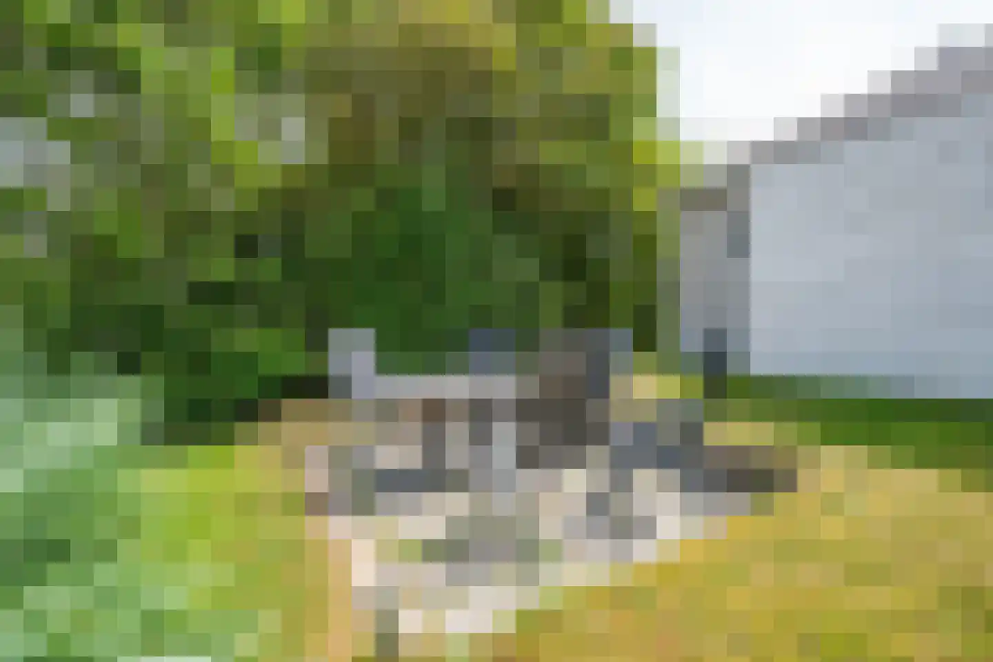 Stappeland 149 De Koog thumbnail 32