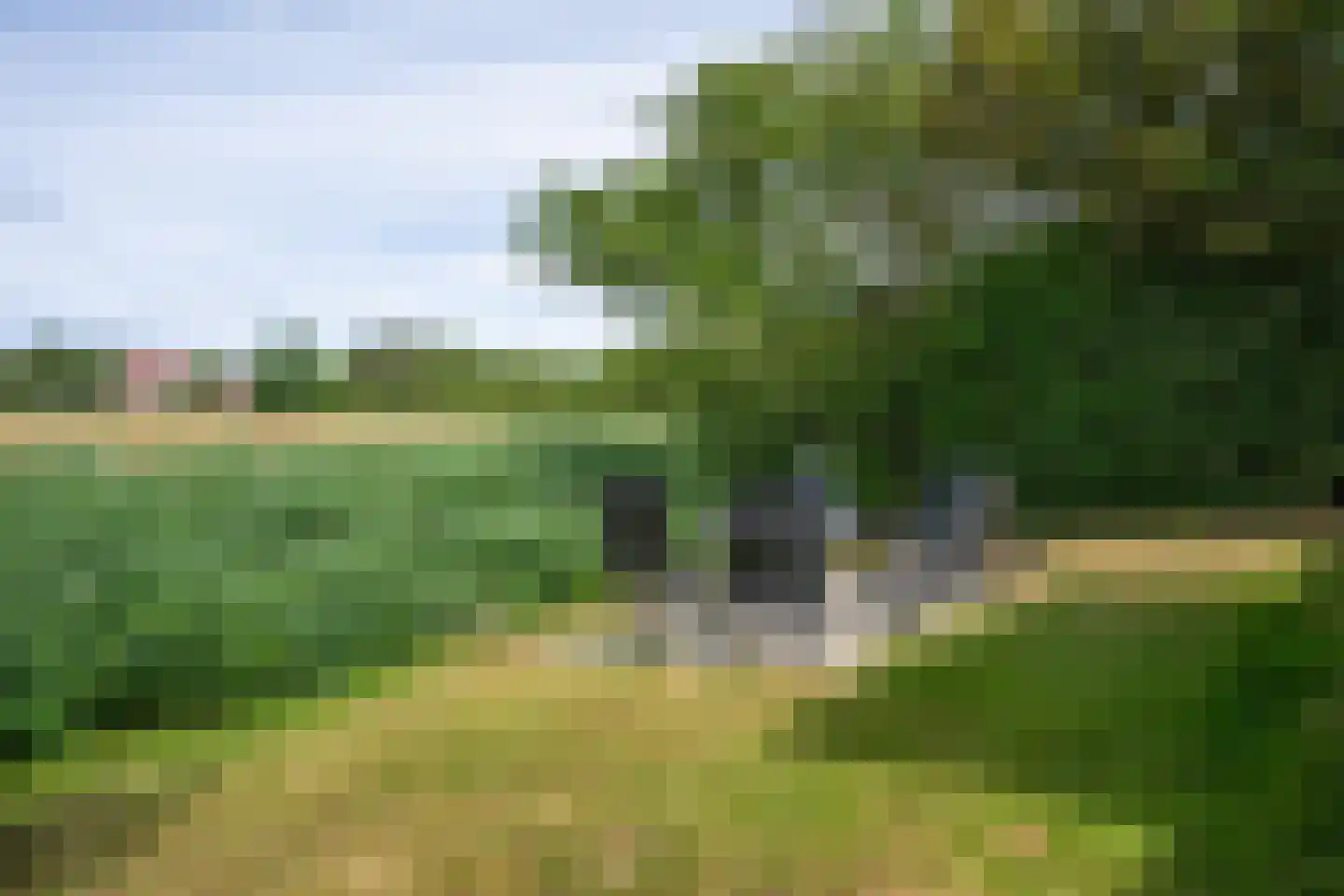 Stappeland 149 De Koog thumbnail 37