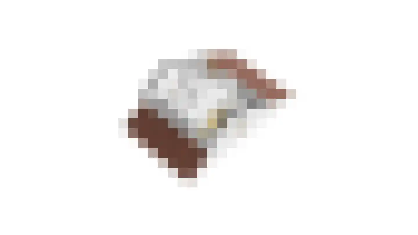Stappeland 149 De Koog thumbnail 42