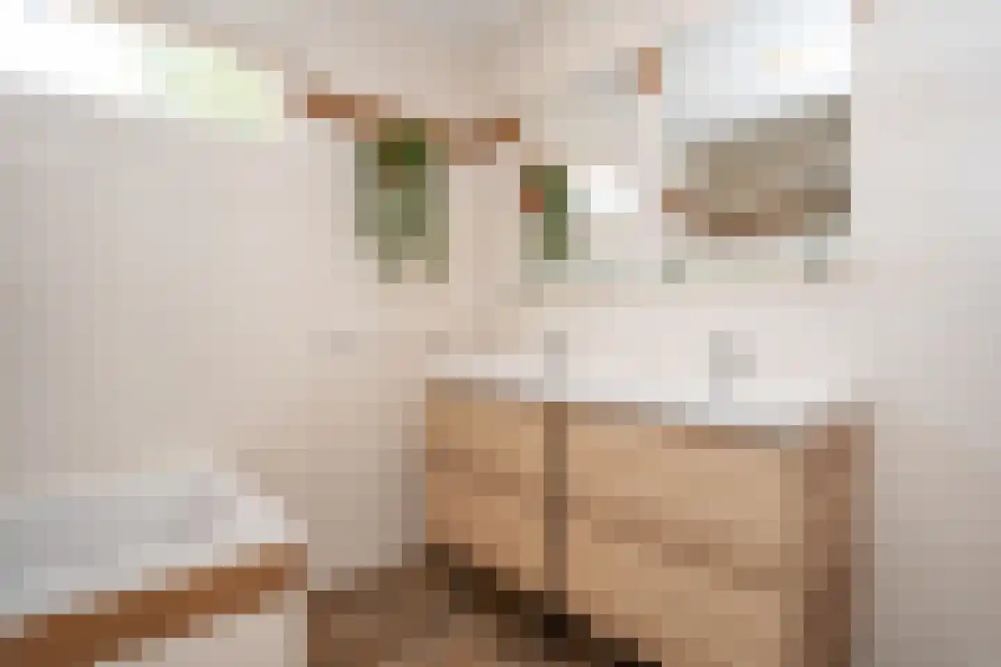 Stappeland 149 De Koog thumbnail 5
