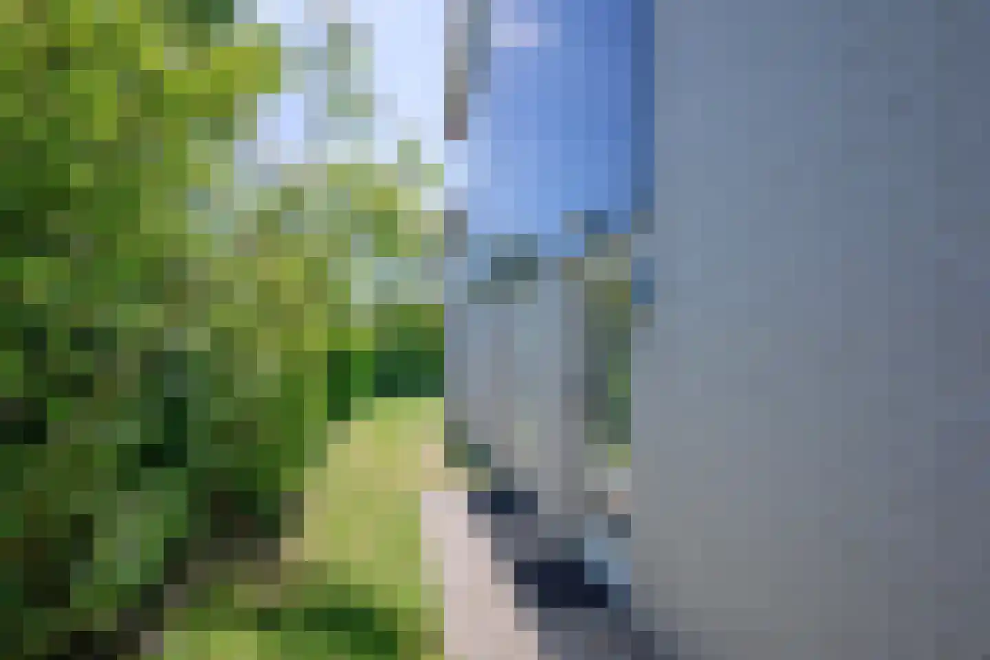 Stappeland 36 De Koog thumbnail 27