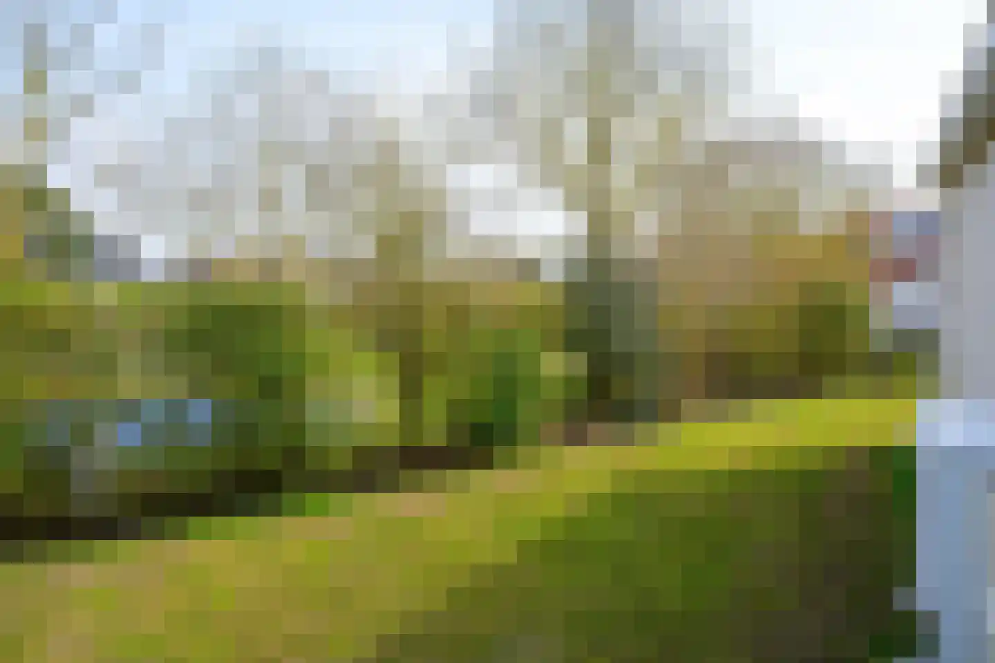 Stappeland 48 De Koog thumbnail 33