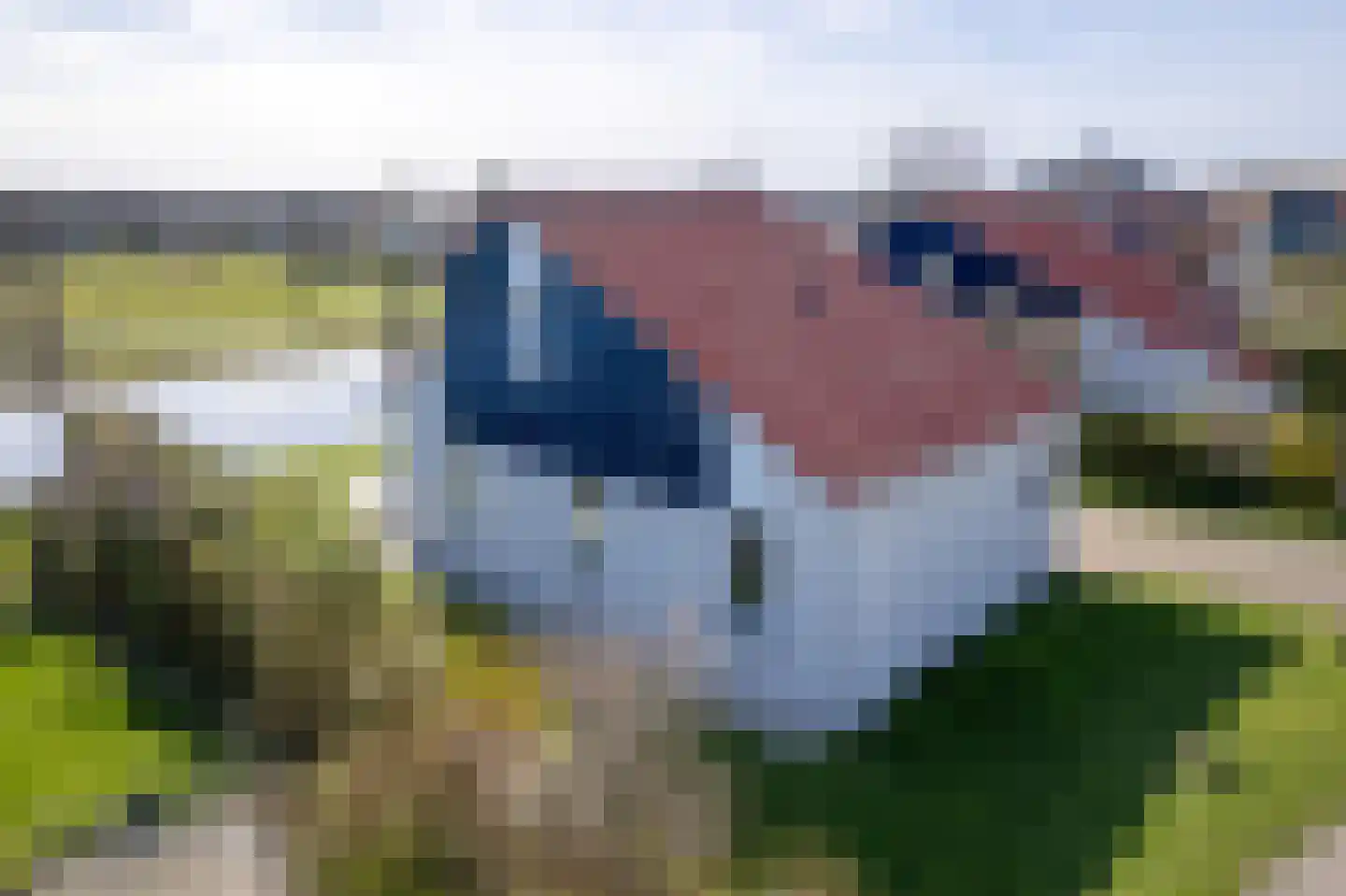 Stappeland 62 De Koog thumbnail 4