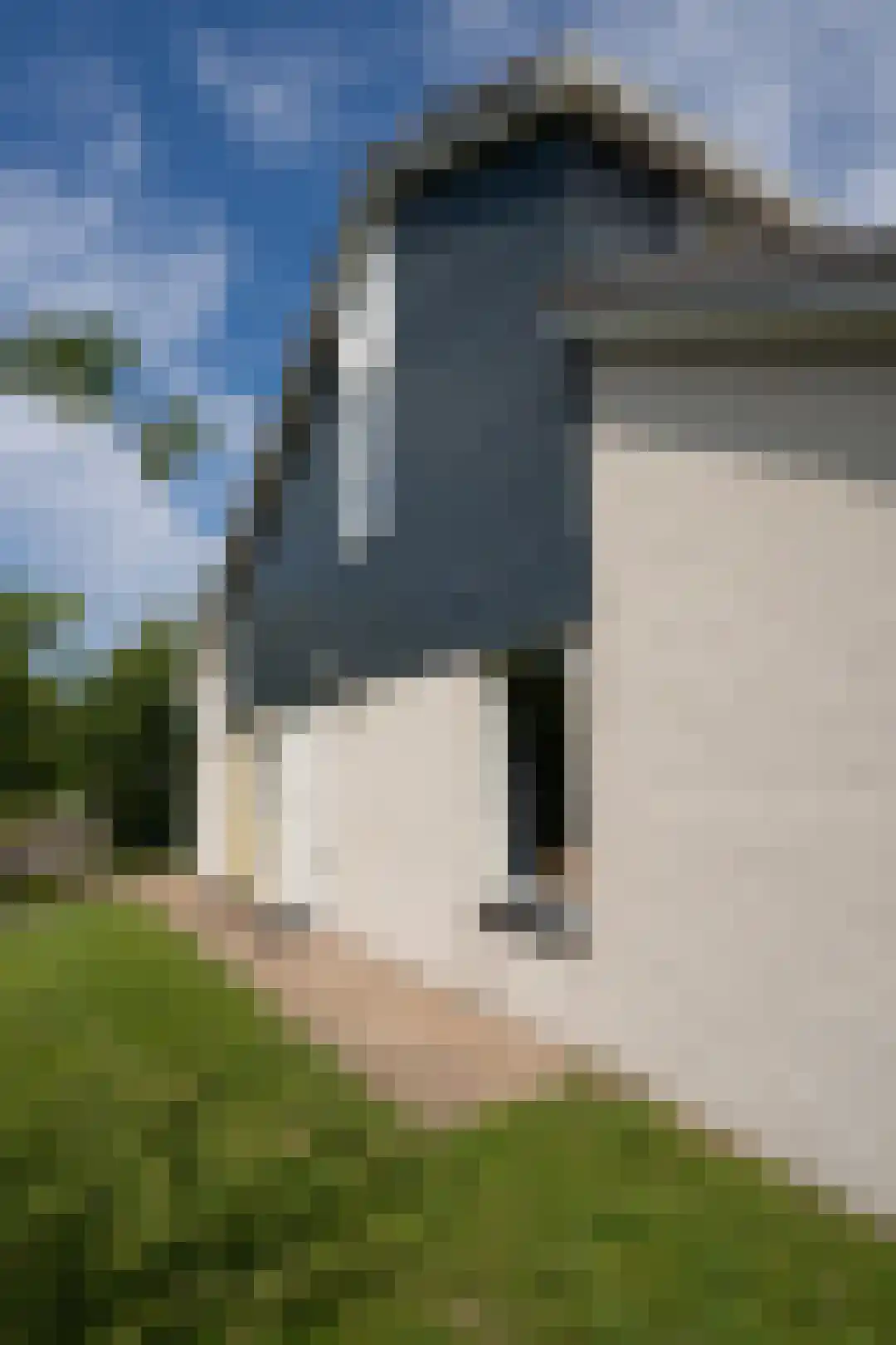 Stappeland 73 De Koog thumbnail 30
