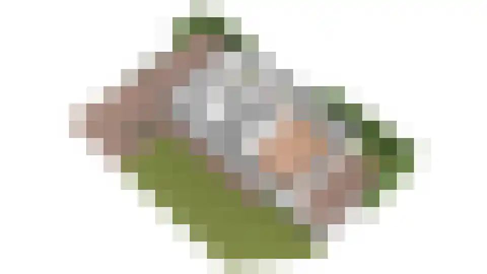 Stappeland 73 De Koog thumbnail 37
