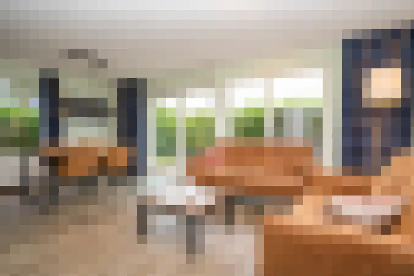 Stappeland 73 De Koog thumbnail 7