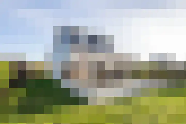 Stappeland 88 De Koog thumbnail 4
