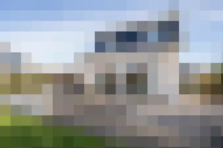 Stappeland 88 De Koog thumbnail 46