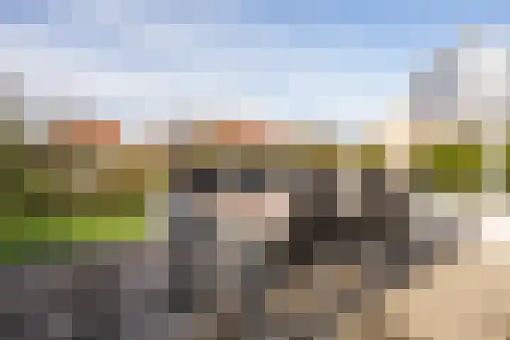 Stappeland 88 De Koog thumbnail 50
