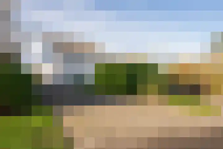 Stappeland 88 De Koog thumbnail 53