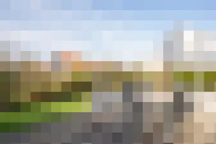 Stappeland 88 De Koog thumbnail 54