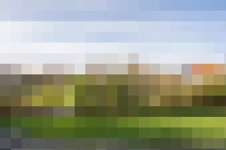 Stappeland 88 De Koog thumbnail 56