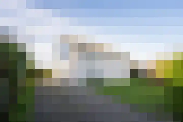 Stappeland 88 De Koog thumbnail 60