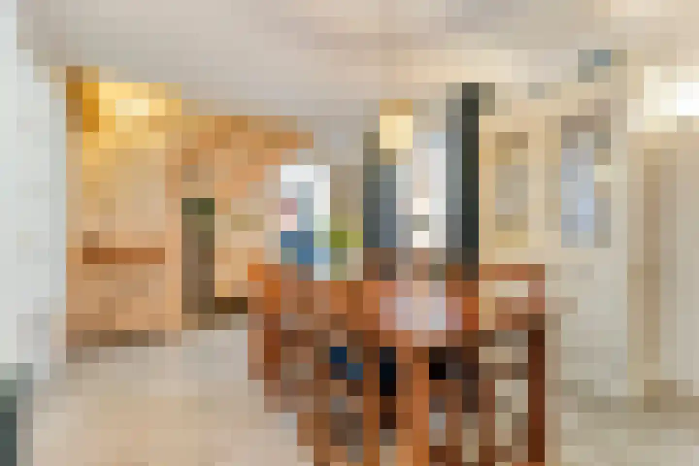 Stappenbeltweg 2 Lemelerveld thumbnail 12