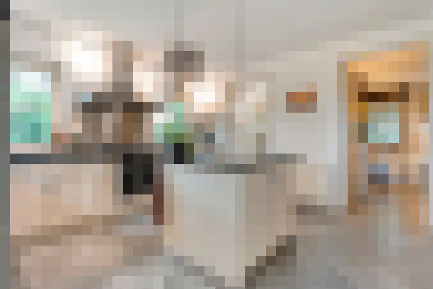 Stappenbeltweg 2 Lemelerveld thumbnail 21