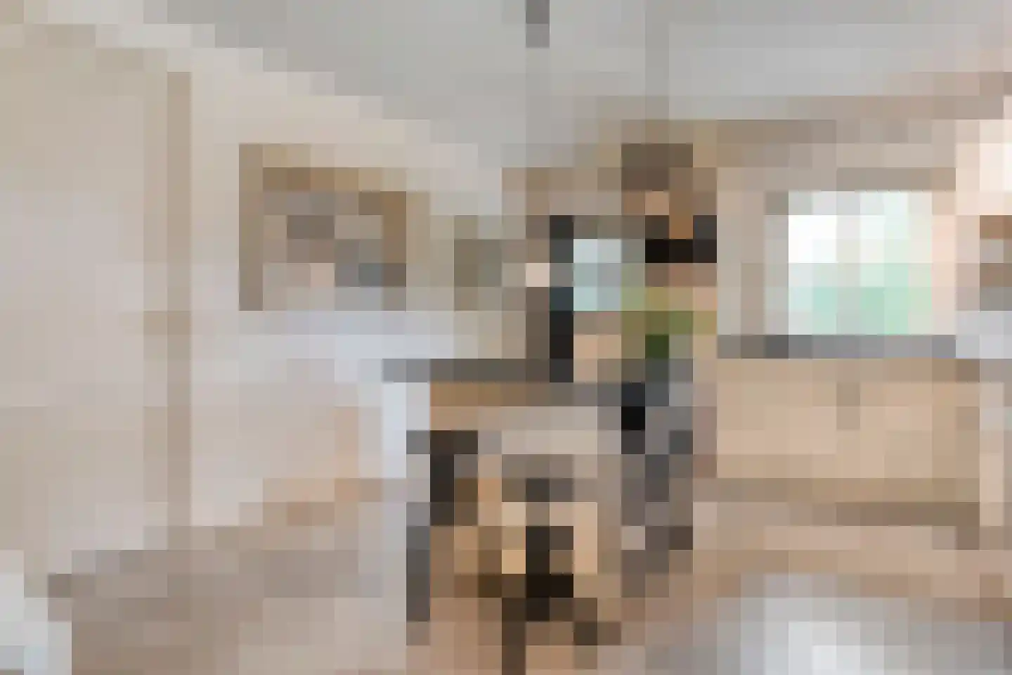 Stappenbeltweg 2 Lemelerveld thumbnail 23