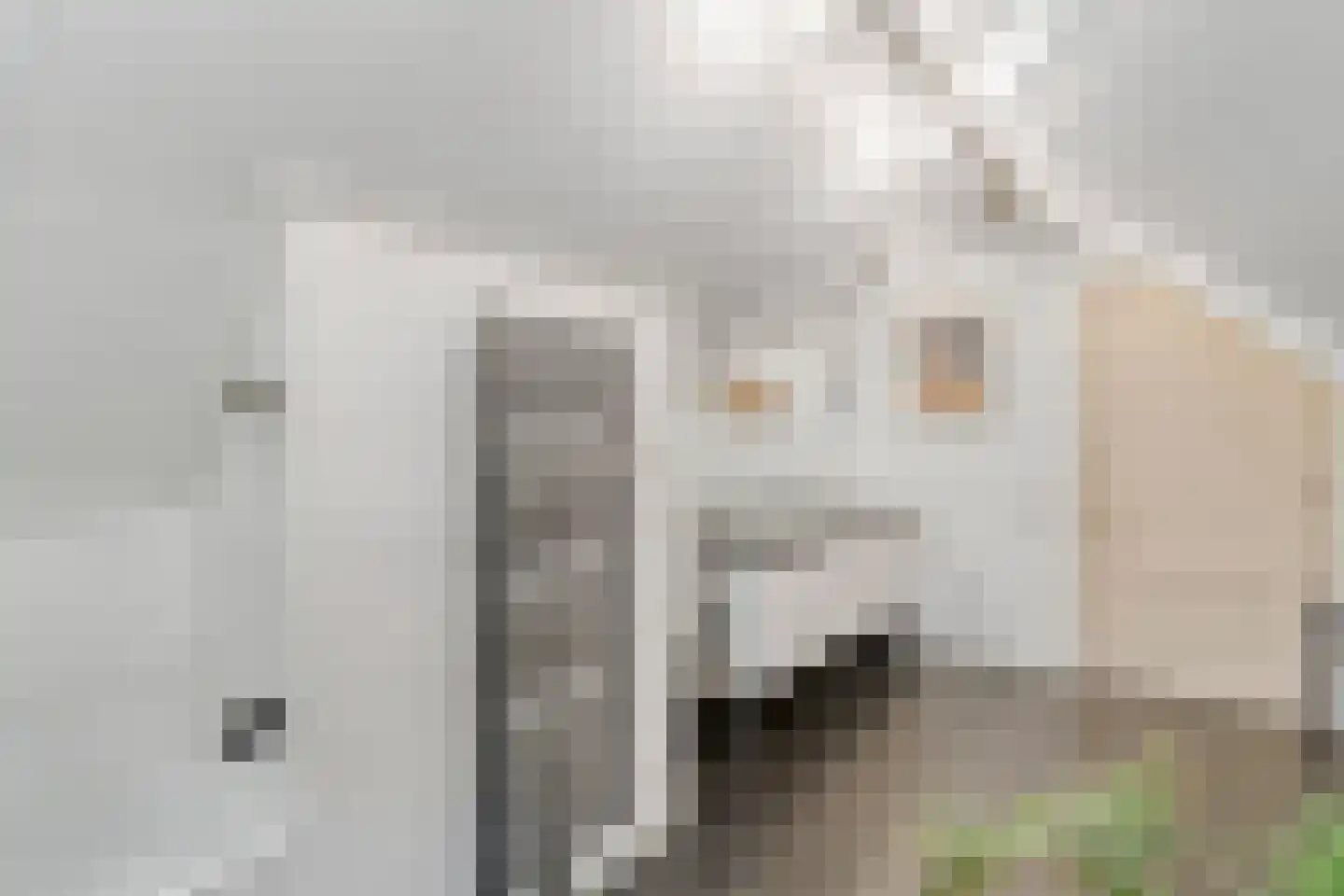 Stappenbeltweg 2 Lemelerveld thumbnail 31