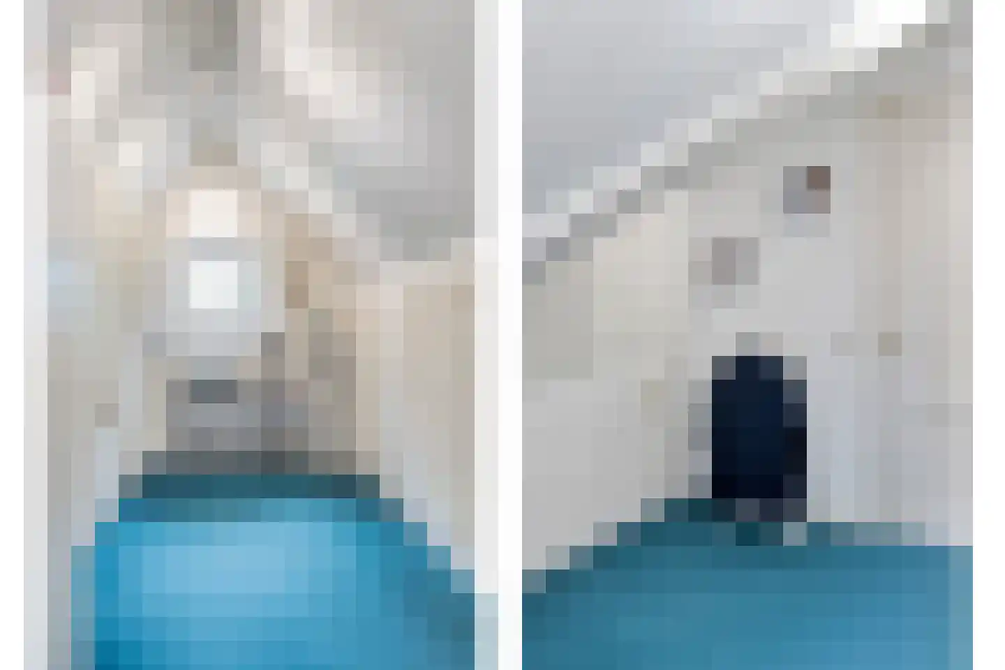Stappenbeltweg 2 Lemelerveld thumbnail 37