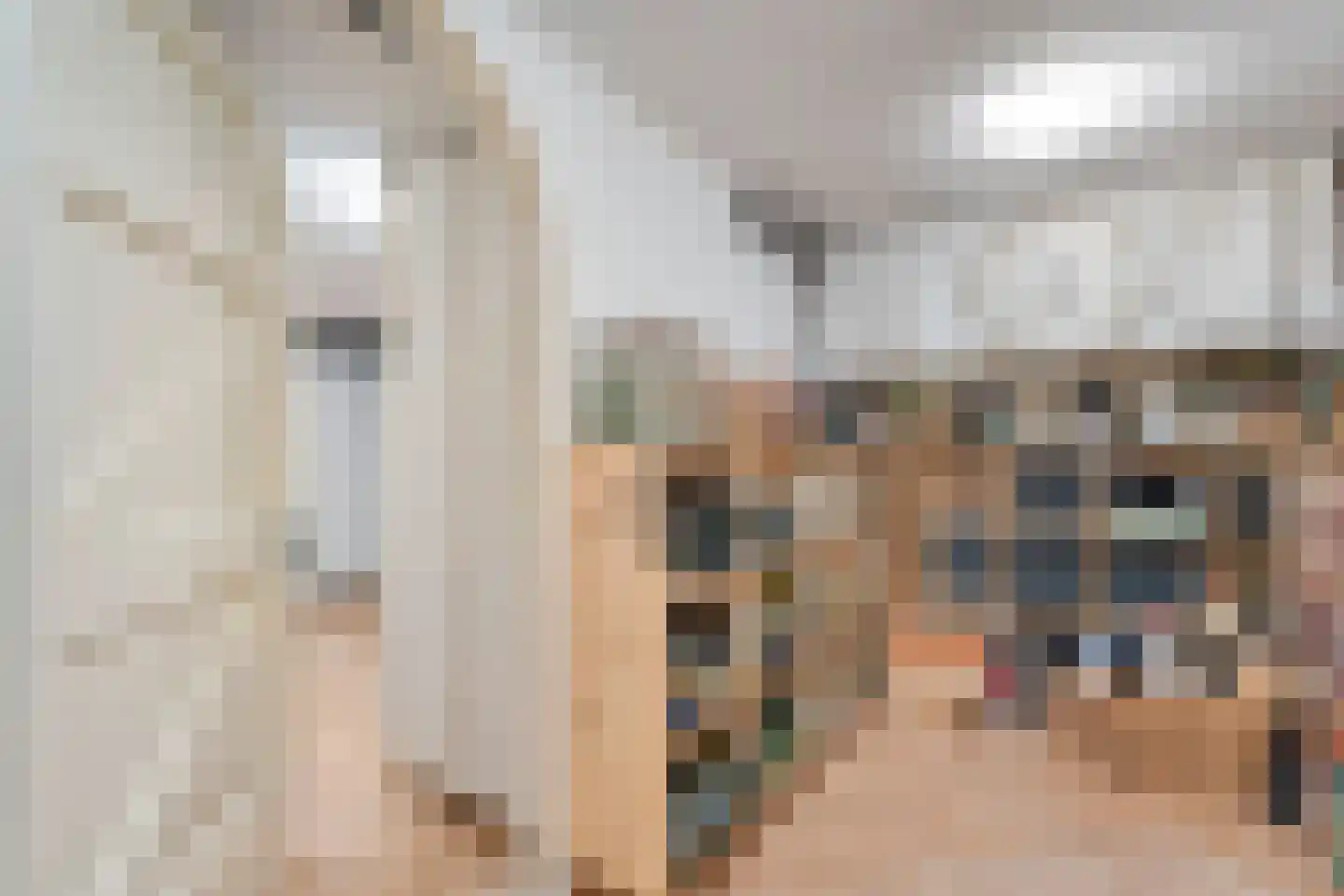 Stappenbeltweg 2 Lemelerveld thumbnail 39