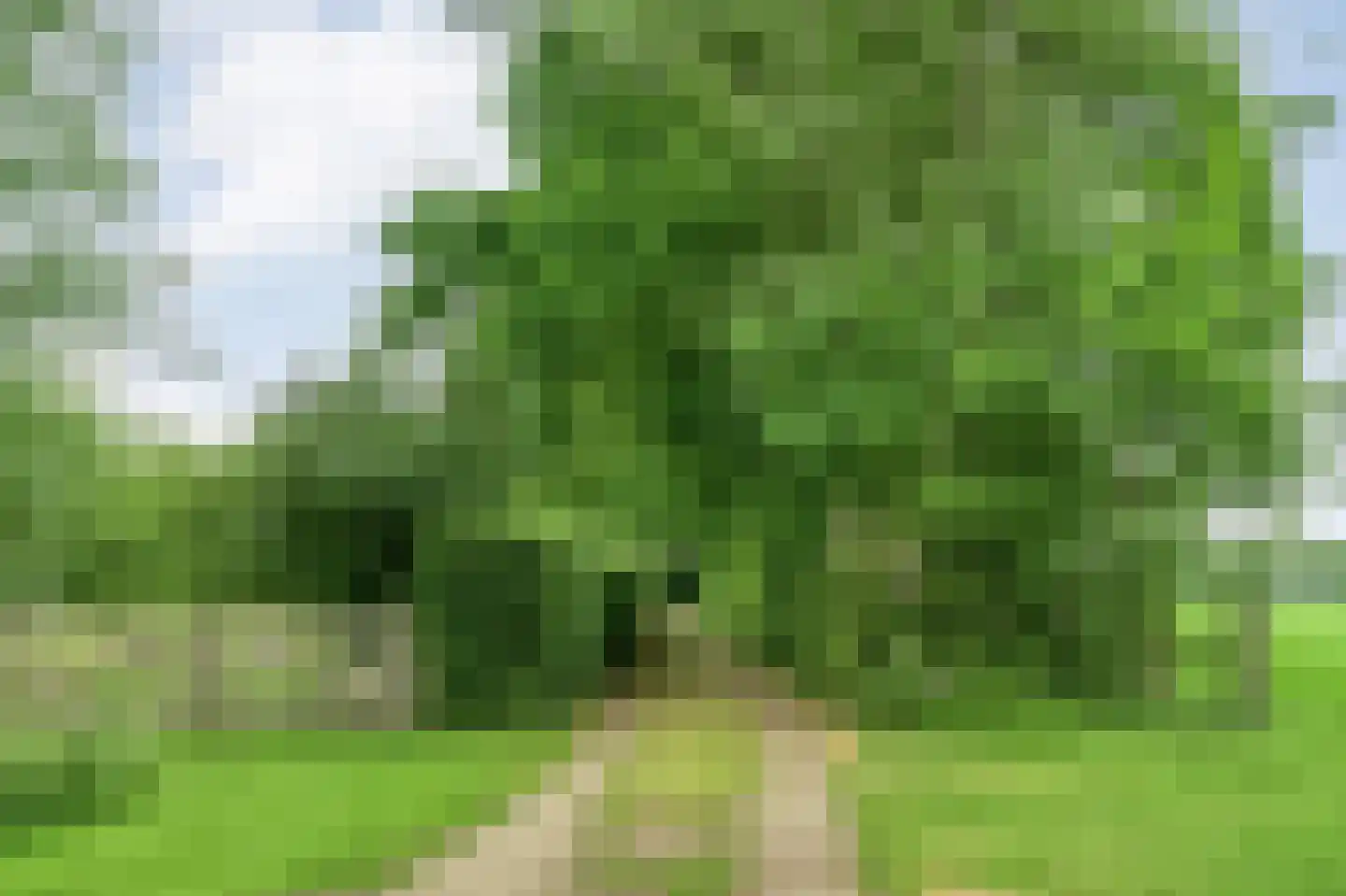 Stappenbeltweg 2 Lemelerveld thumbnail 4