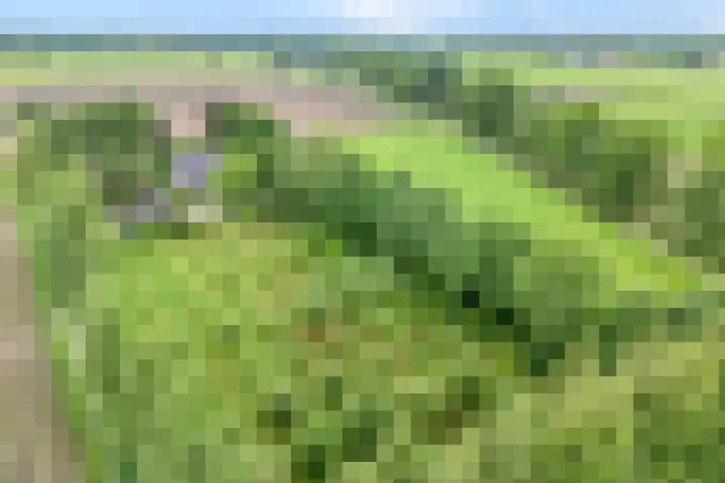 Stappenbeltweg 2 Lemelerveld thumbnail 41