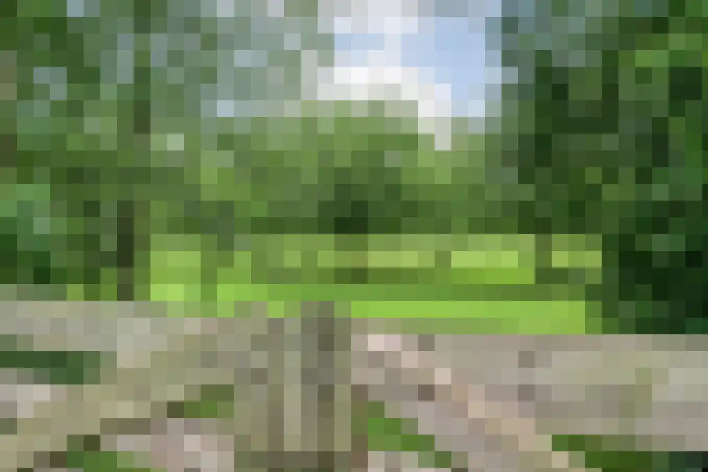 Stappenbeltweg 2 Lemelerveld thumbnail 42