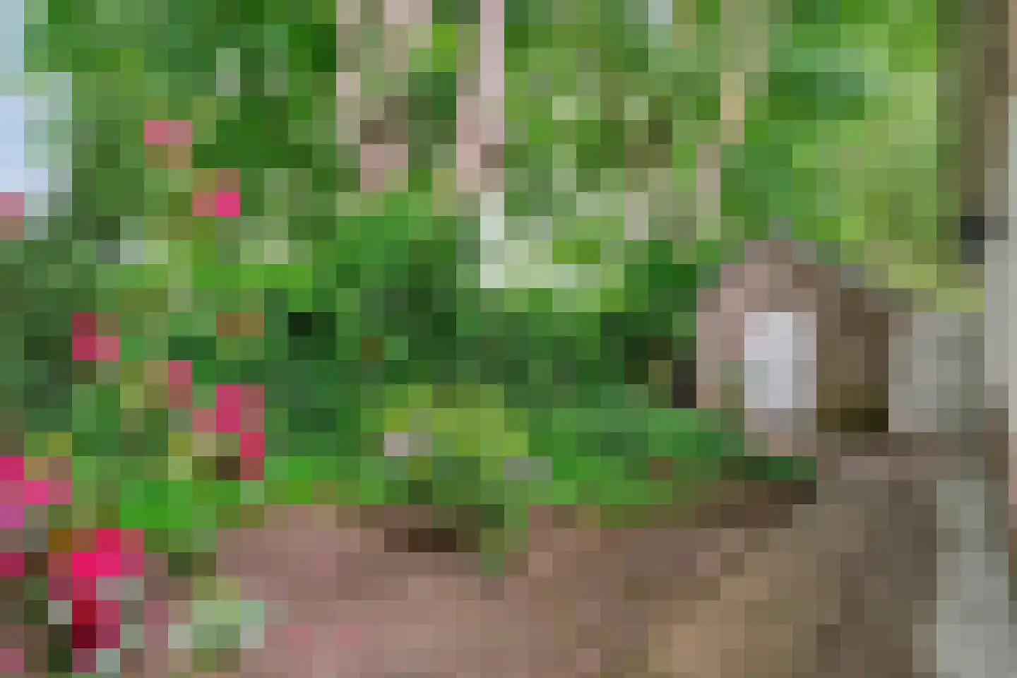 Stappenbeltweg 2 Lemelerveld thumbnail 44