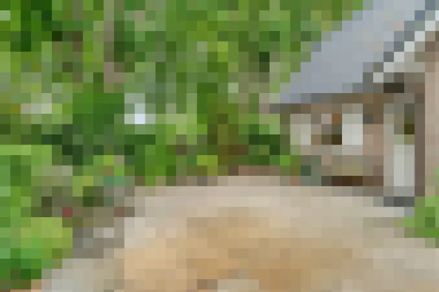 Stappenbeltweg 2 Lemelerveld thumbnail 46