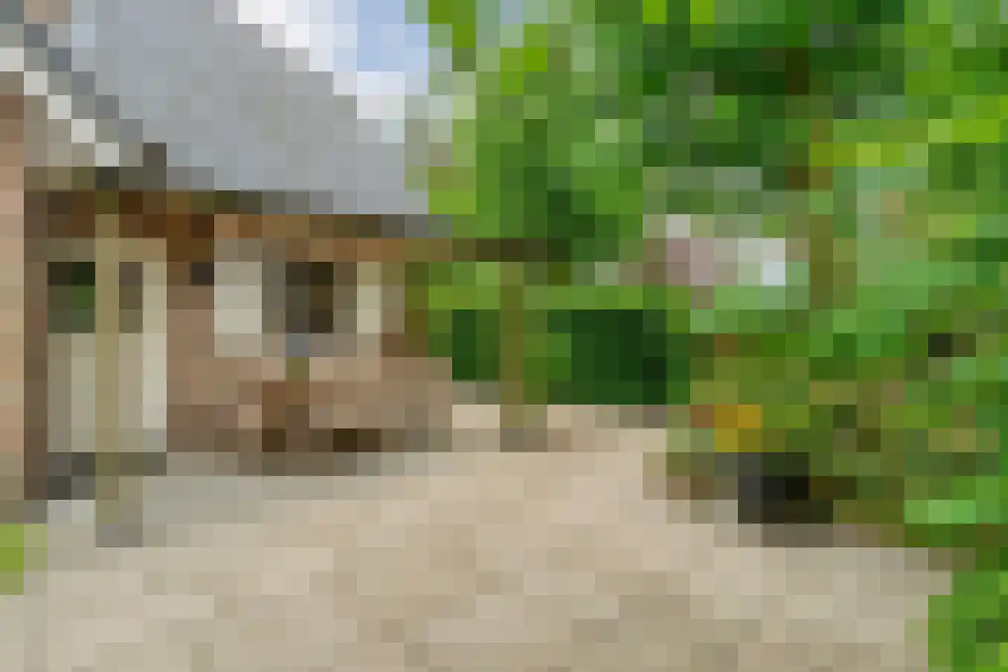 Stappenbeltweg 2 Lemelerveld thumbnail 47