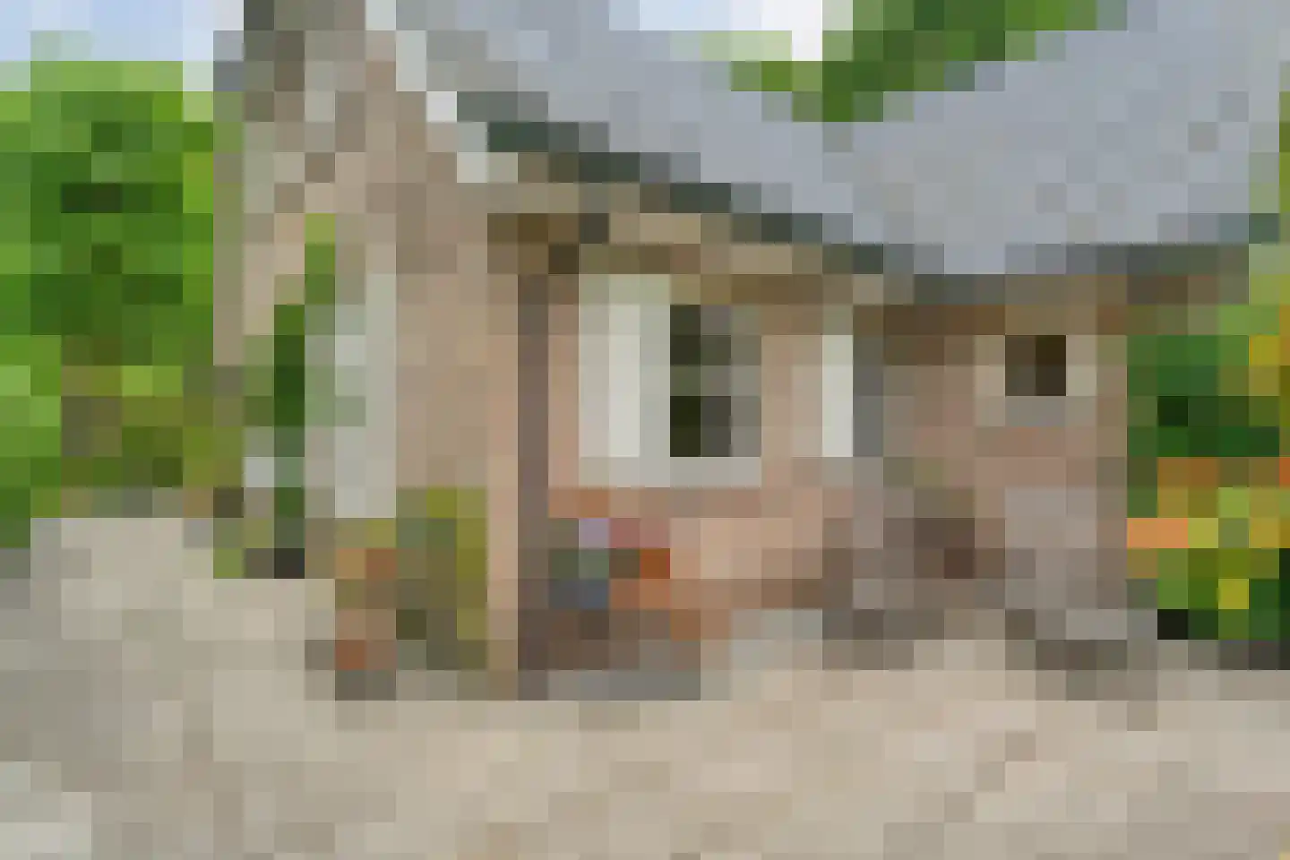 Stappenbeltweg 2 Lemelerveld thumbnail 48