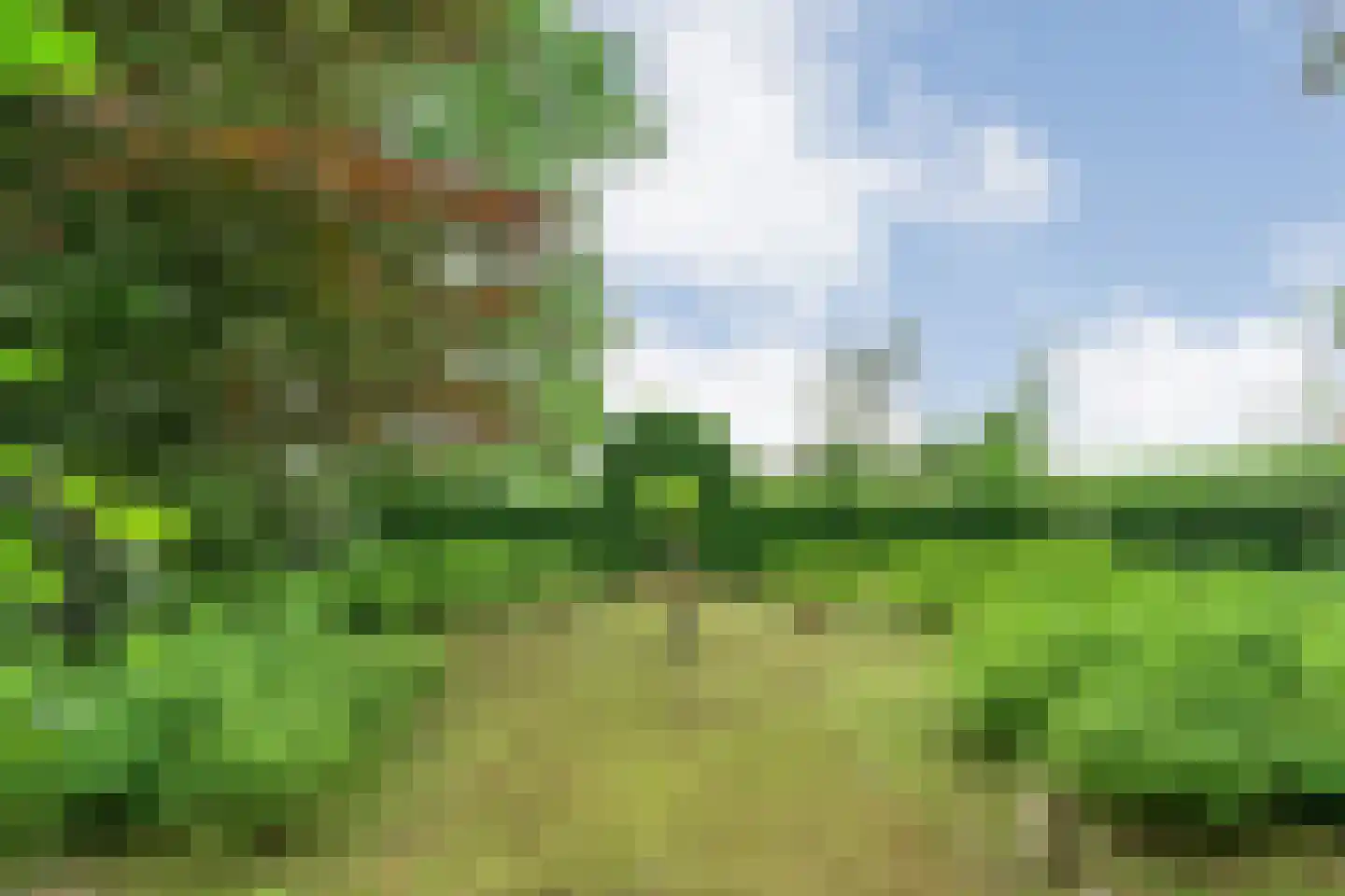 Stappenbeltweg 2 Lemelerveld thumbnail 49