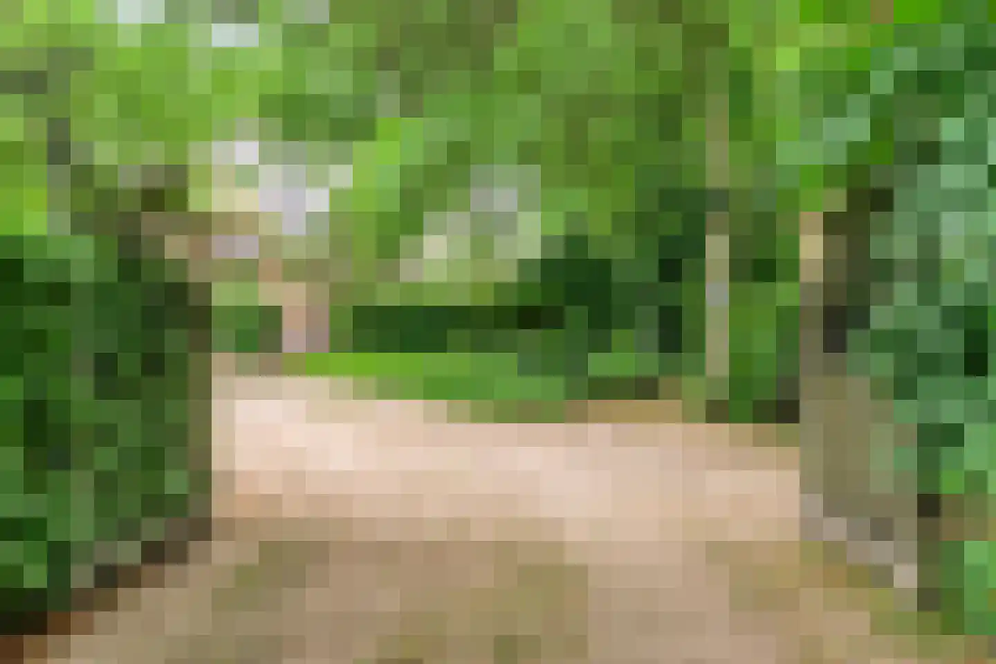 Stappenbeltweg 2 Lemelerveld thumbnail 5