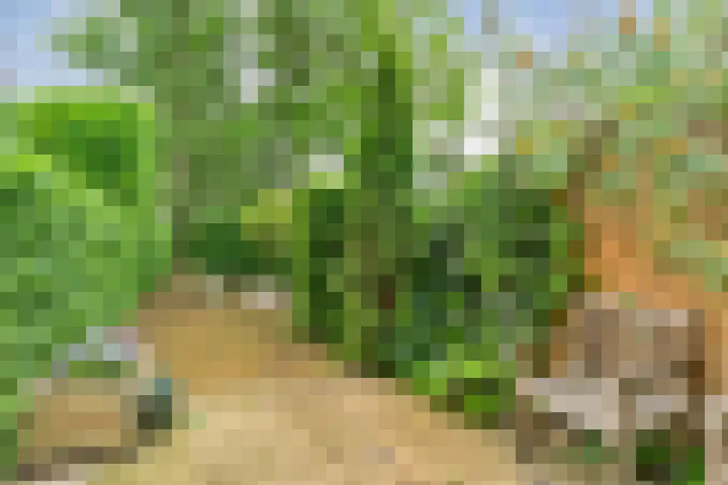 Stappenbeltweg 2 Lemelerveld thumbnail 50