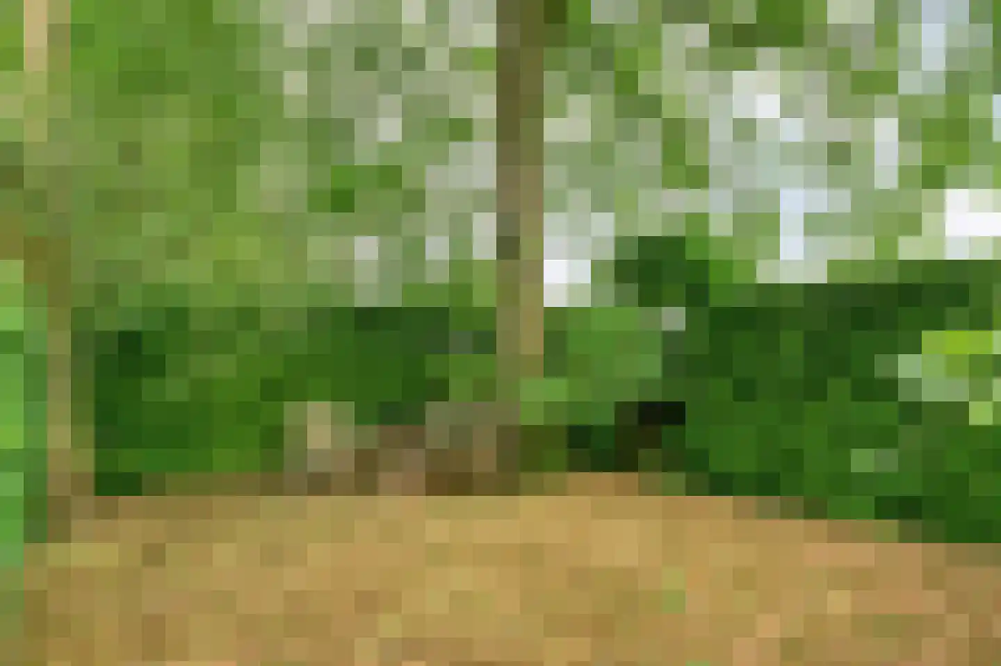 Stappenbeltweg 2 Lemelerveld thumbnail 51