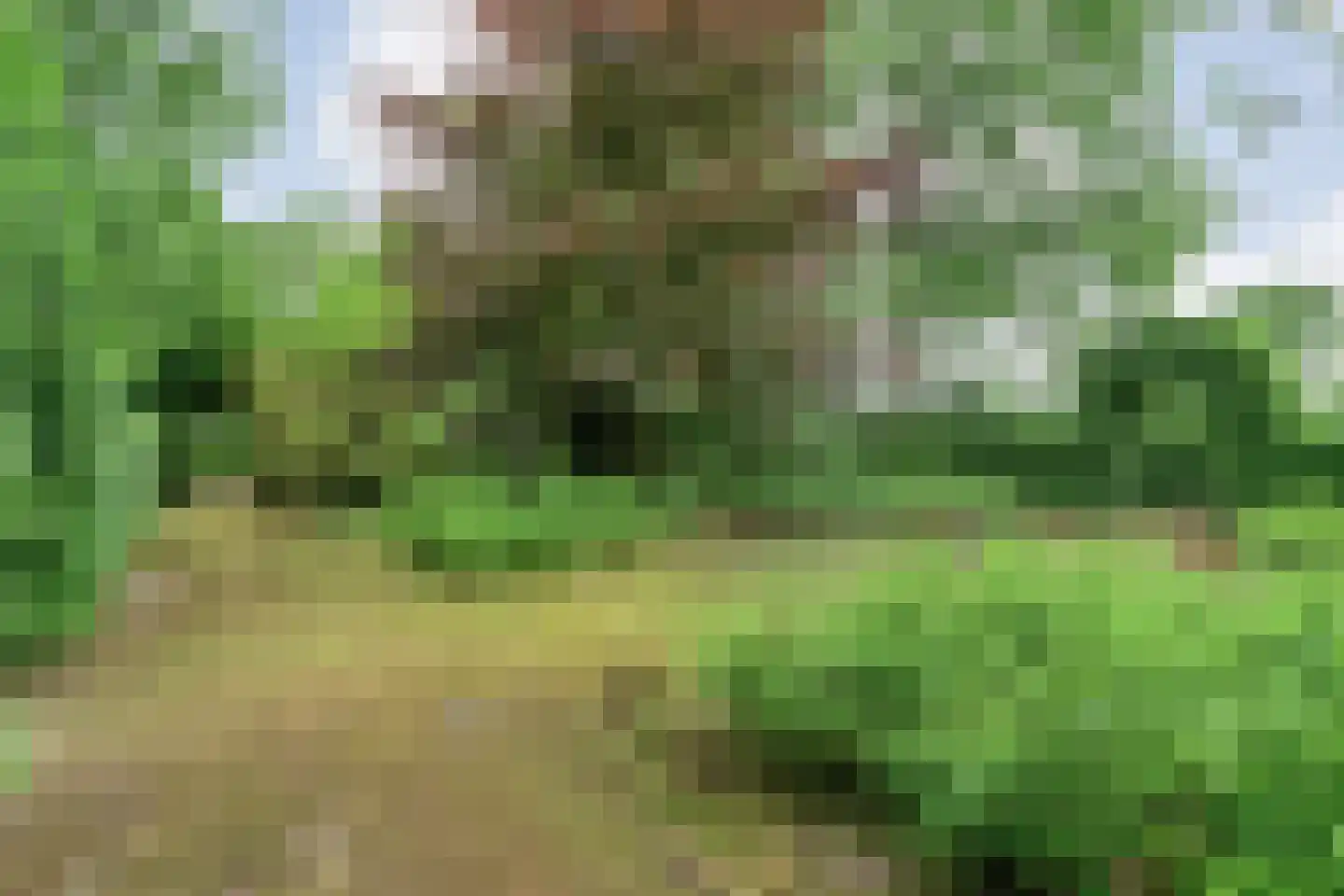 Stappenbeltweg 2 Lemelerveld thumbnail 52
