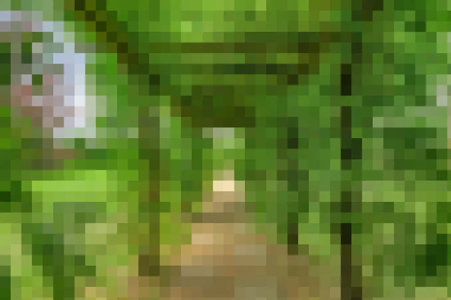 Stappenbeltweg 2 Lemelerveld thumbnail 53