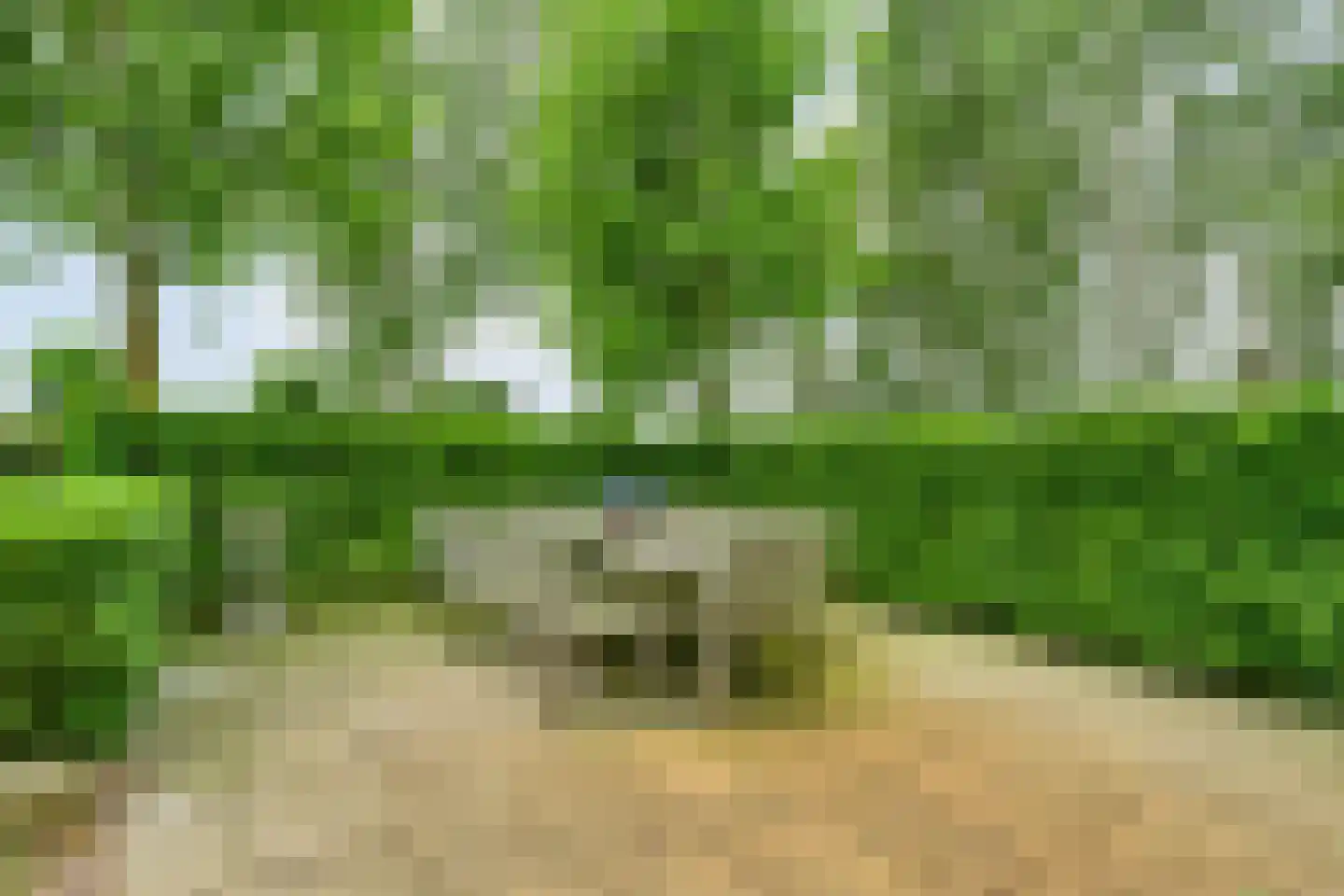 Stappenbeltweg 2 Lemelerveld thumbnail 54