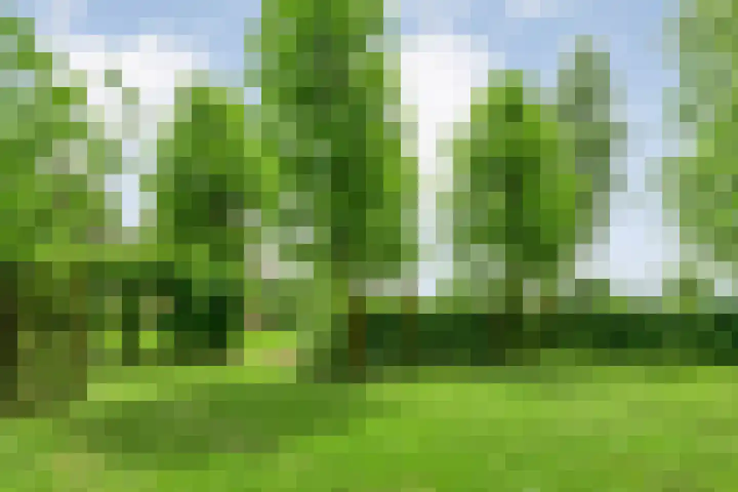 Stappenbeltweg 2 Lemelerveld thumbnail 55