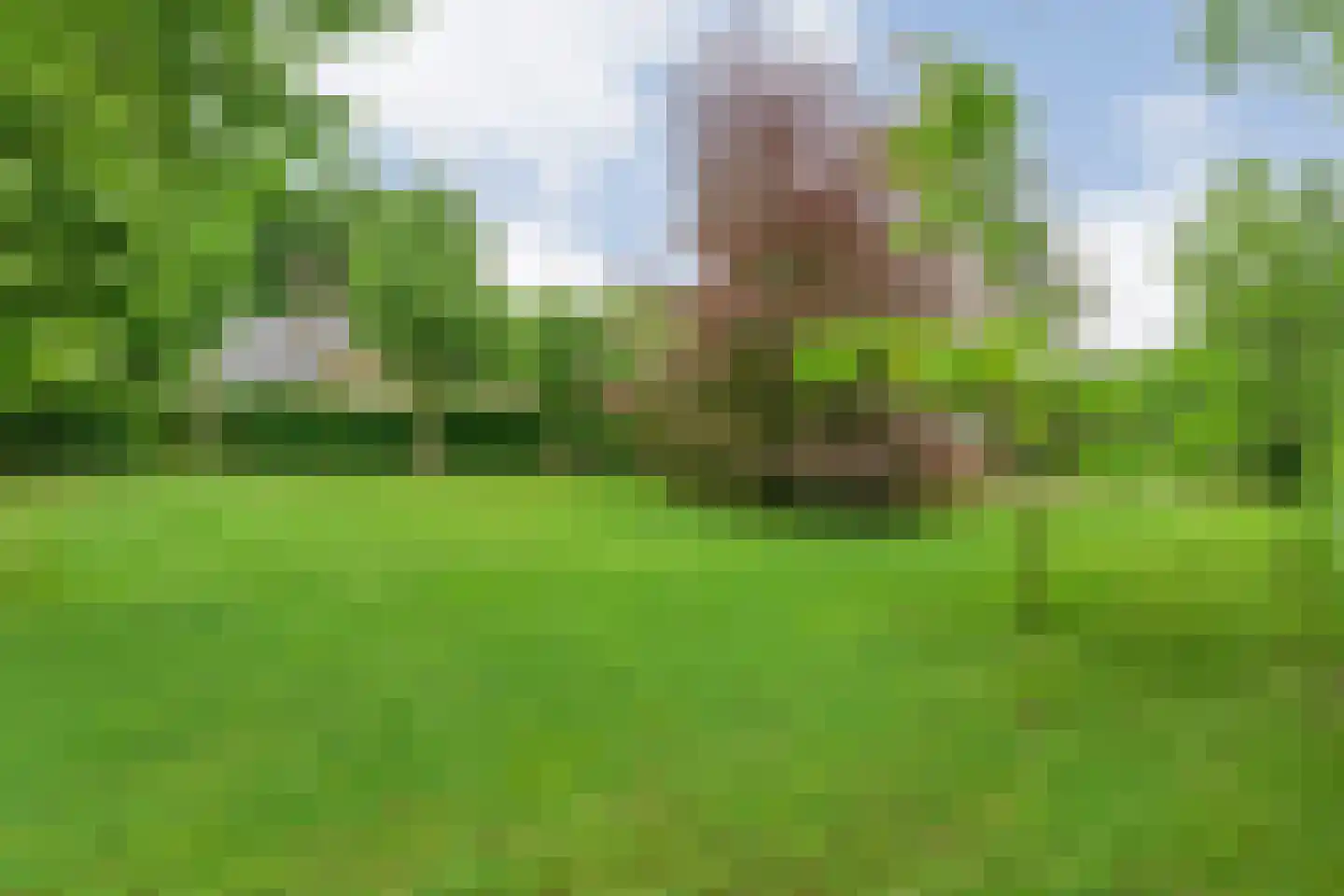 Stappenbeltweg 2 Lemelerveld thumbnail 56
