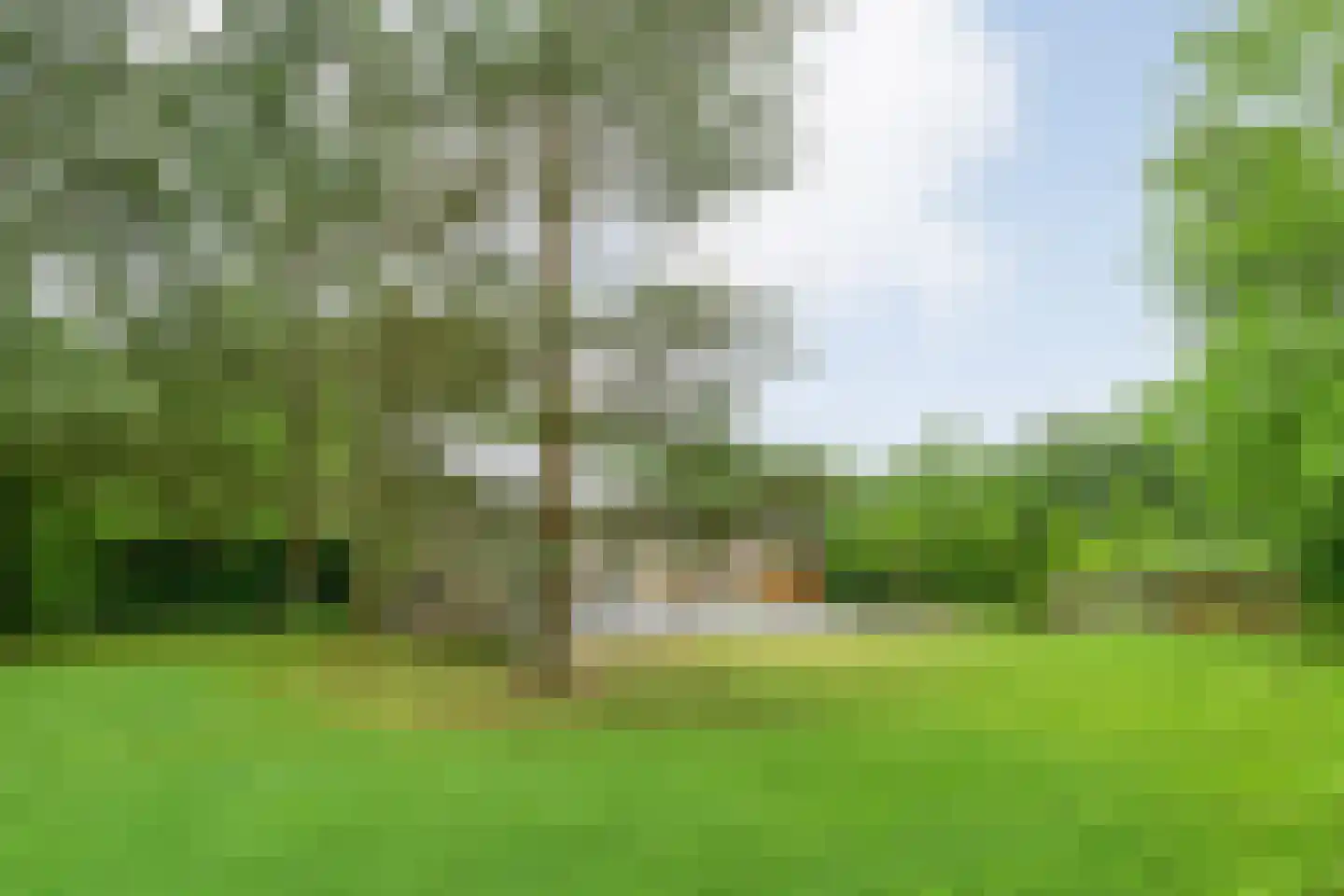 Stappenbeltweg 2 Lemelerveld thumbnail 57