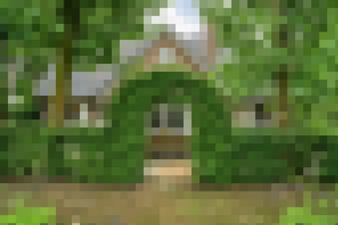 Stappenbeltweg 2 Lemelerveld thumbnail 58