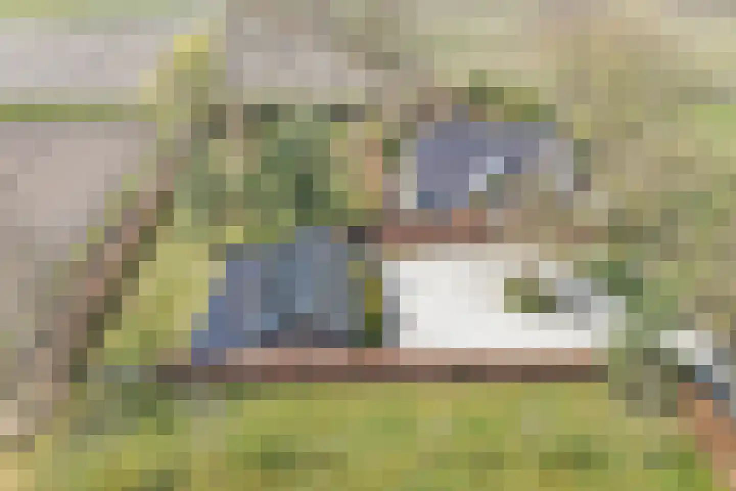 Stappenbeltweg 2 Lemelerveld thumbnail 59
