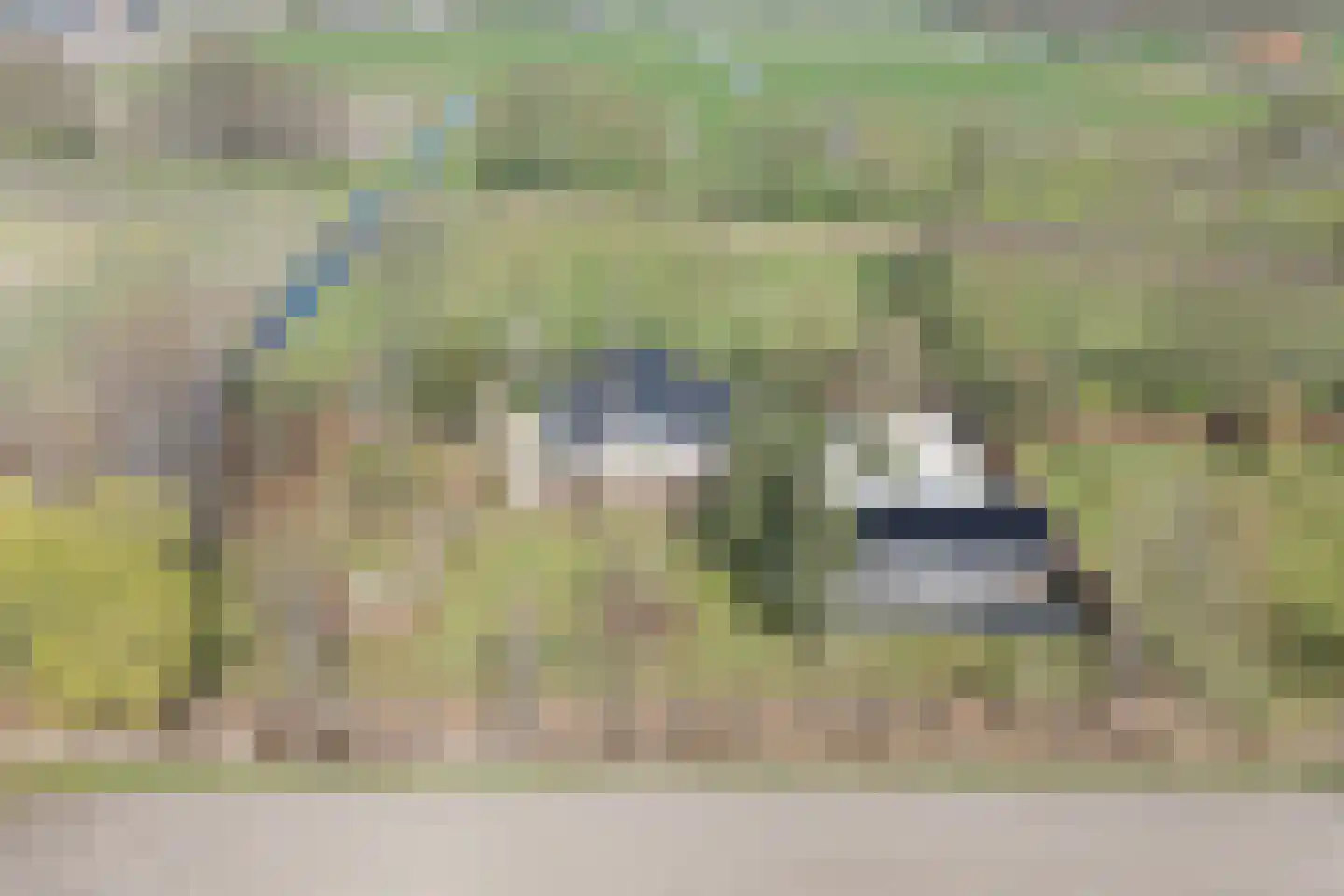 Stappenbeltweg 2 Lemelerveld thumbnail 60