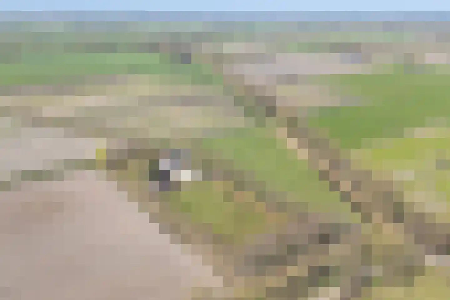 Stappenbeltweg 2 Lemelerveld thumbnail 61