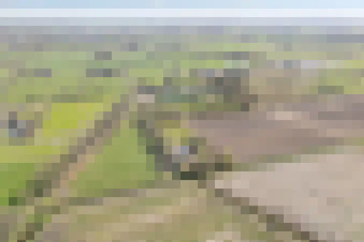 Stappenbeltweg 2 Lemelerveld thumbnail 62