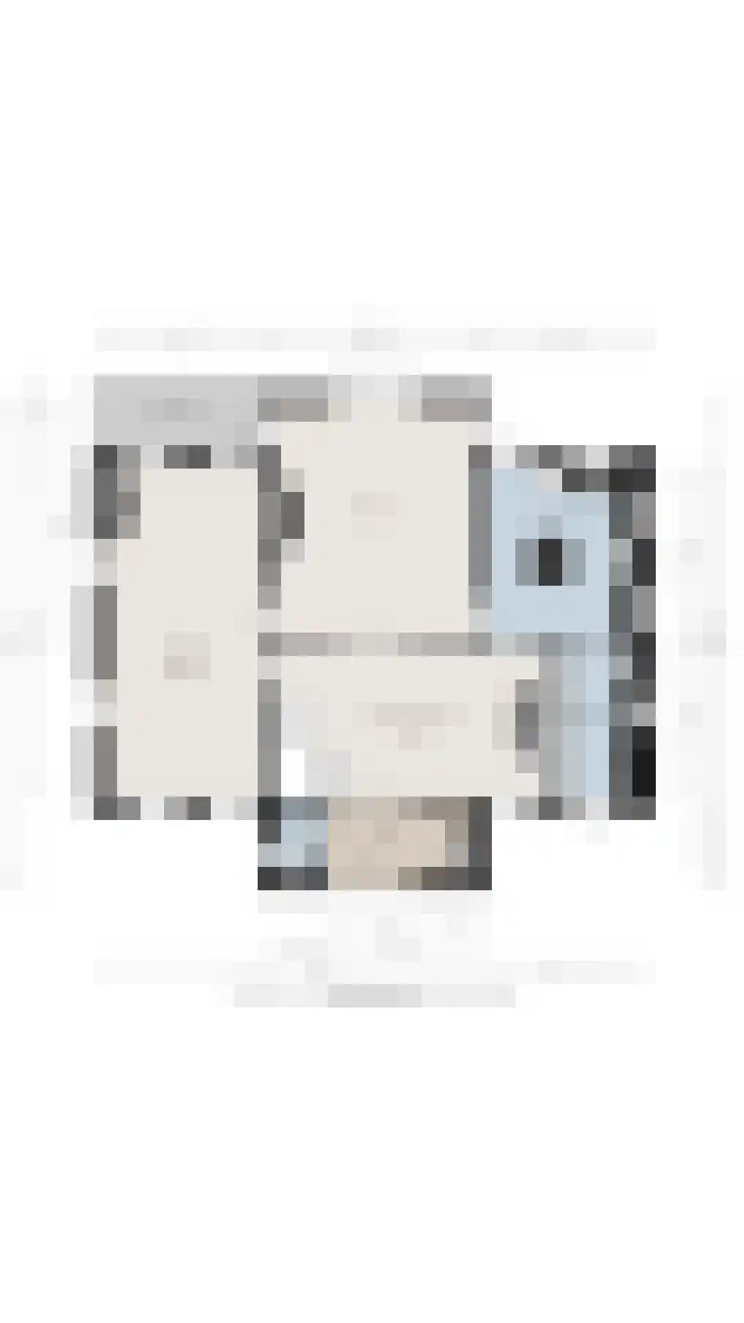 Stappenbeltweg 2 Lemelerveld thumbnail 64